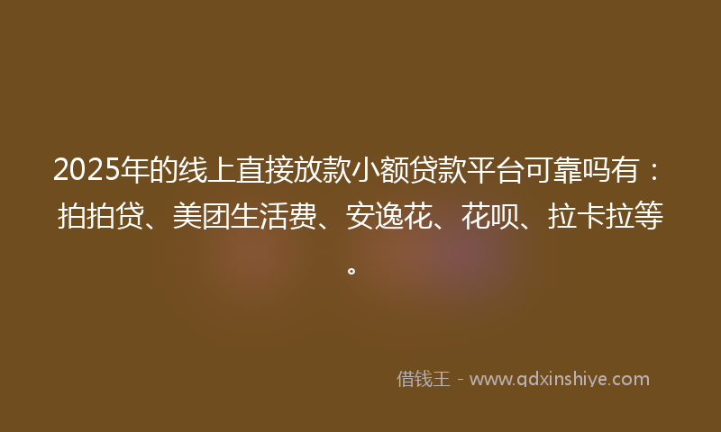 2025年的线上直接放款小额贷款平台可靠吗有：拍拍贷、美团生活费、安逸花、花呗、拉卡拉等。