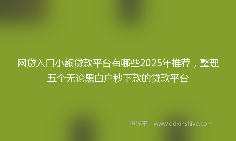 网贷入口小额贷款平台有哪些2025年推荐，整理五个无论黑白户秒下款的贷款平台