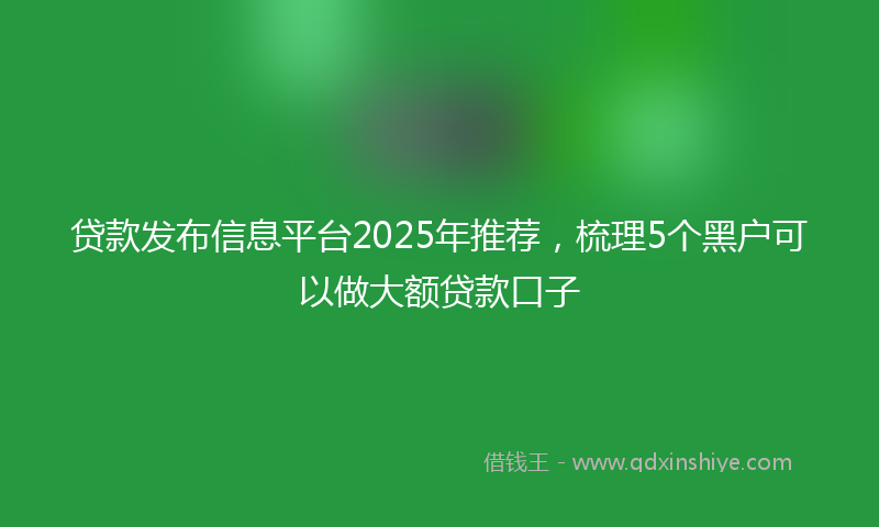 贷款发布信息平台2025年推荐，梳理5个黑户可以做大额贷款口子