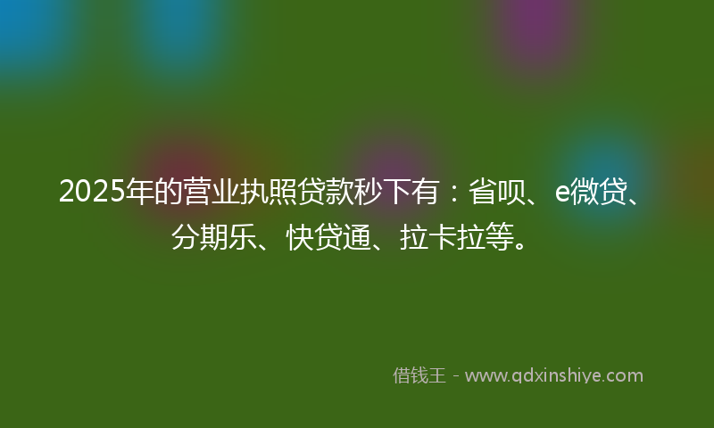 2025年的营业执照贷款秒下有：省呗、e微贷、分期乐、快贷通、拉卡拉等。