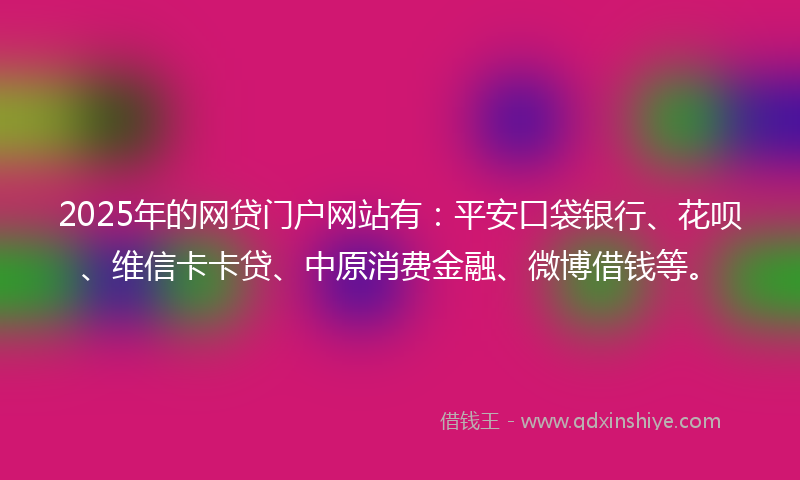 2025年的网贷门户网站有：平安口袋银行、花呗、维信卡卡贷、中原消费金融、微博借钱等。