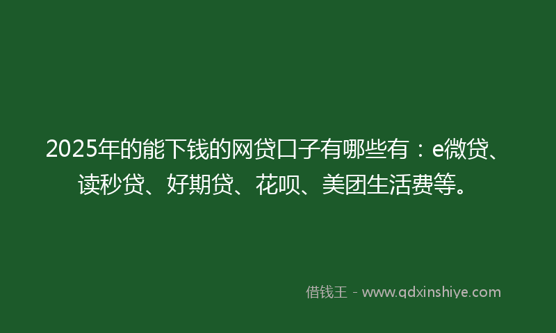 2025年的能下钱的网贷口子有哪些有：e微贷、读秒贷、好期贷、花呗、美团生活费等。