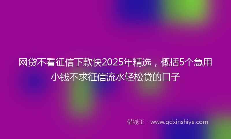 网贷不看征信下款快2025年精选，概括5个急用小钱不求征信流水轻松贷的口子