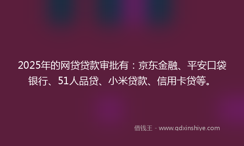 2025年的网贷贷款审批有：京东金融、平安口袋银行、51人品贷、小米贷款、信用卡贷等。