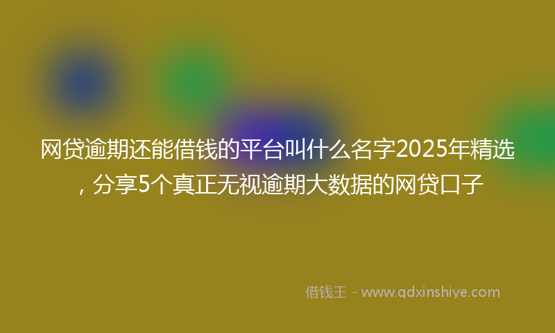 网贷逾期还能借钱的平台叫什么名字2025年精选，分享5个真正无视逾期大数据的网贷口子