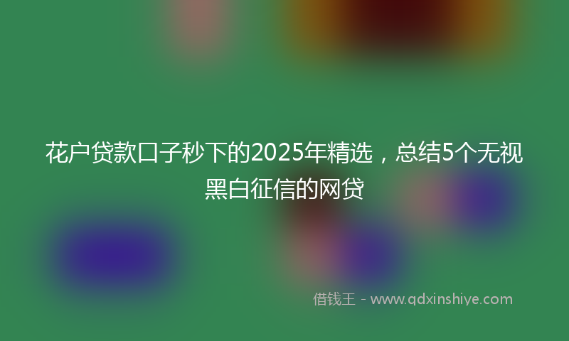 花户贷款口子秒下的2025年精选，总结5个无视黑白征信的网贷