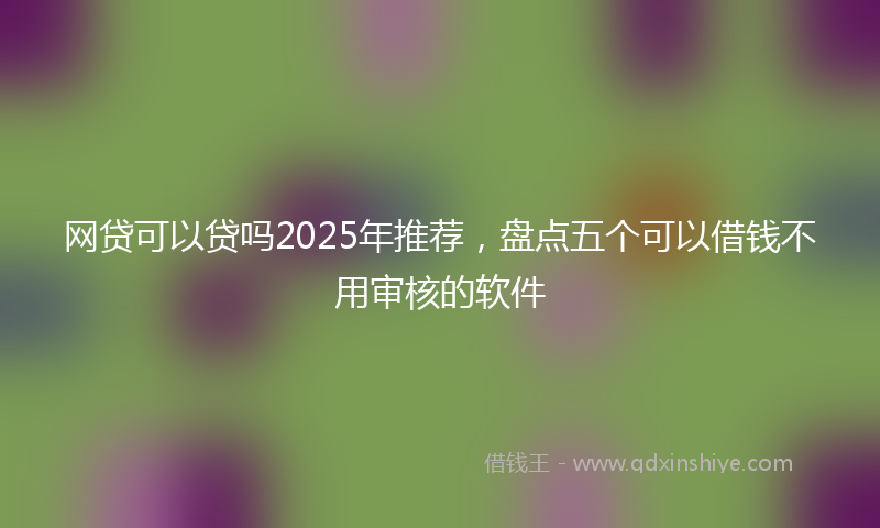 网贷可以贷吗2025年推荐，盘点五个可以借钱不用审核的软件