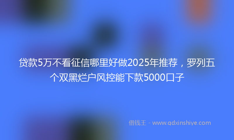 贷款5万不看征信哪里好做2025年推荐，罗列五个双黑烂户风控能下款5000口子