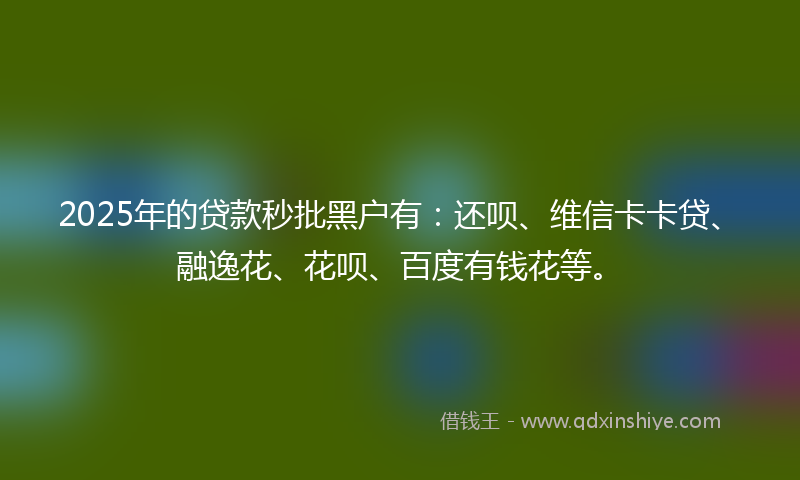 2025年的贷款秒批黑户有：还呗、维信卡卡贷、融逸花、花呗、百度有钱花等。