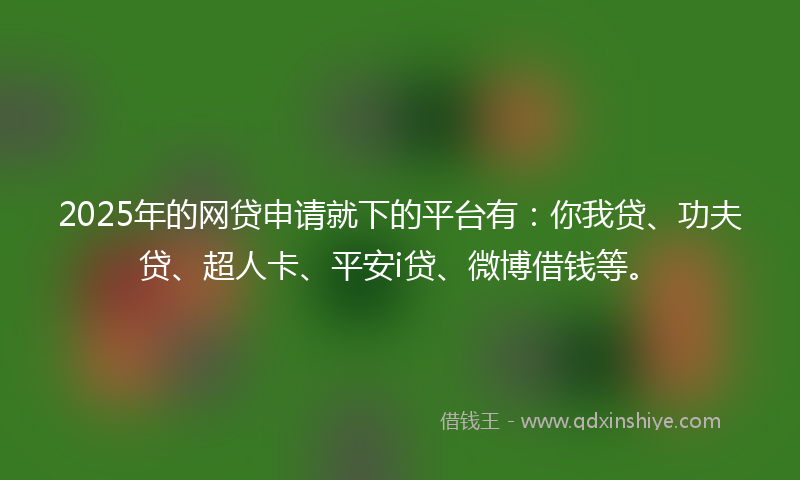 2025年的网贷申请就下的平台有：你我贷、功夫贷、超人卡、平安i贷、微博借钱等。