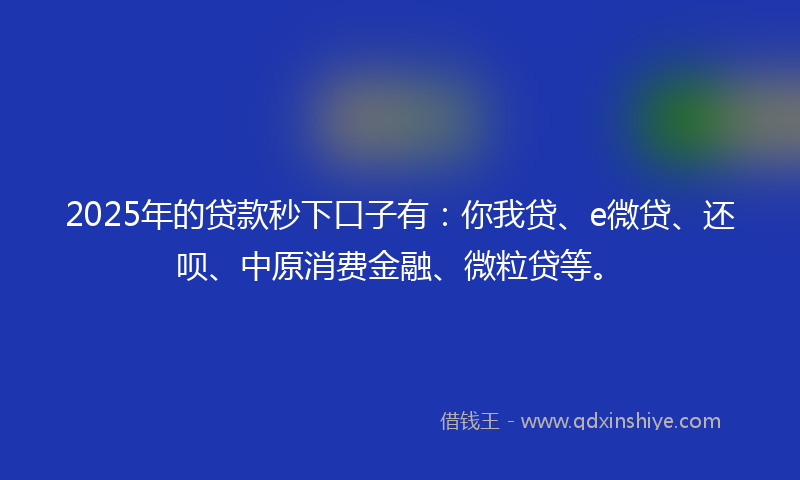 2025年的贷款秒下口子有：你我贷、e微贷、还呗、中原消费金融、微粒贷等。