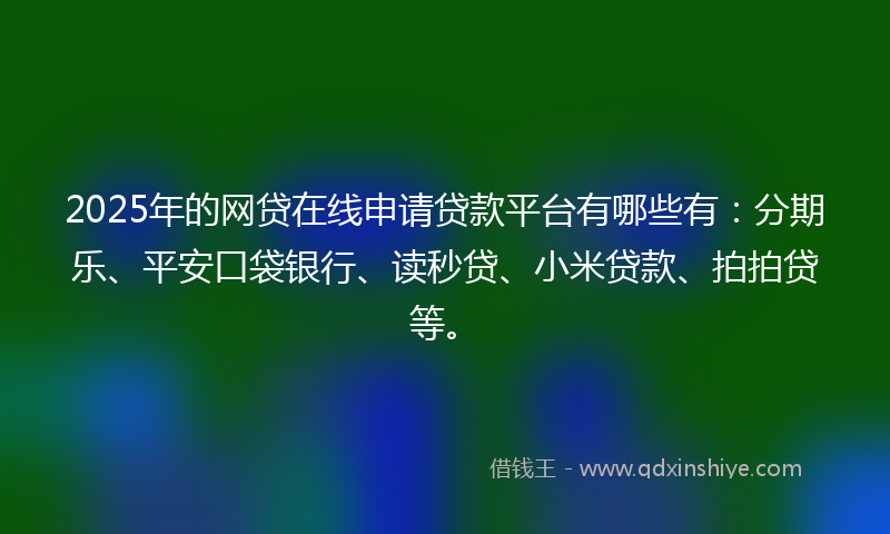 2025年的网贷在线申请贷款平台有哪些有：分期乐、平安口袋银行、读秒贷、小米贷款、拍拍贷等。