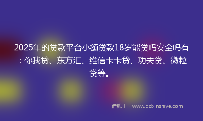 2025年的贷款平台小额贷款18岁能贷吗安全吗有：你我贷、东方汇、维信卡卡贷、功夫贷、微粒贷等。