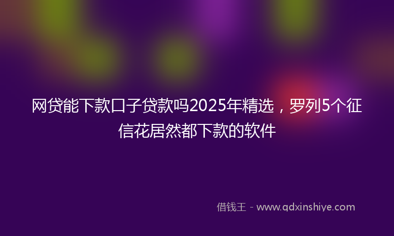 网贷能下款口子贷款吗2025年精选，罗列5个征信花居然都下款的软件