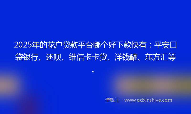 2025年的花户贷款平台哪个好下款快有：平安口袋银行、还呗、维信卡卡贷、洋钱罐、东方汇等。