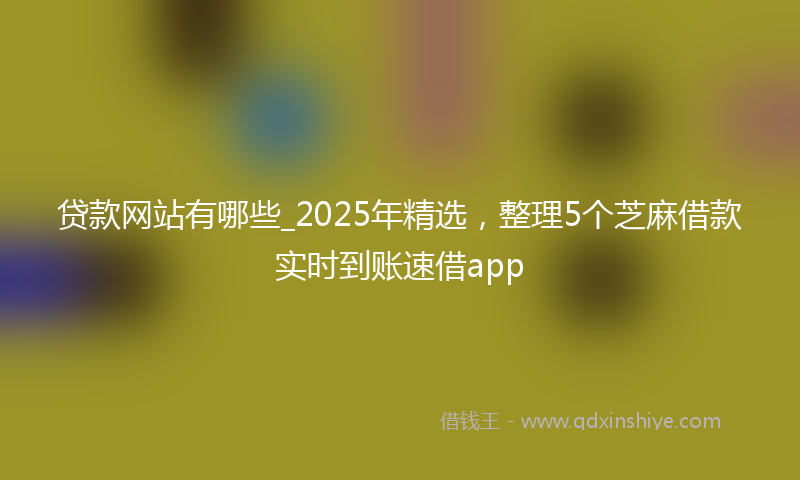 贷款网站有哪些_2025年精选，整理5个芝麻借款实时到账速借app