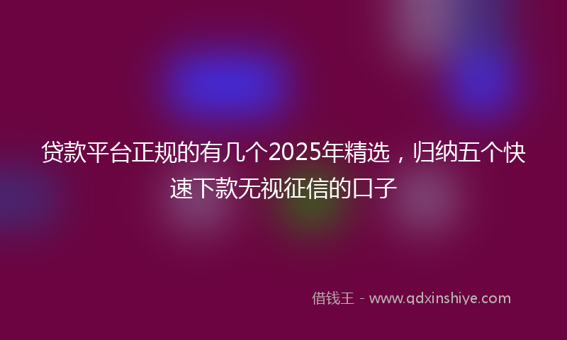 贷款平台正规的有几个2025年精选，归纳五个快速下款无视征信的口子