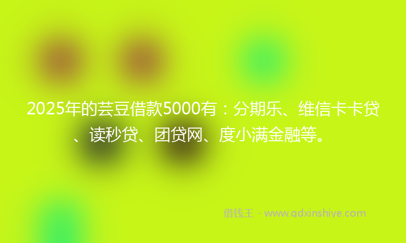 2025年的芸豆借款5000有：分期乐、维信卡卡贷、读秒贷、团贷网、度小满金融等。