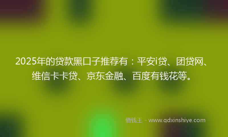 2025年的贷款黑口子推荐有：平安i贷、团贷网、维信卡卡贷、京东金融、百度有钱花等。