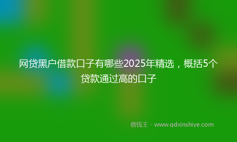 网贷黑户借款口子有哪些2025年精选，概括5个贷款通过高的口子
