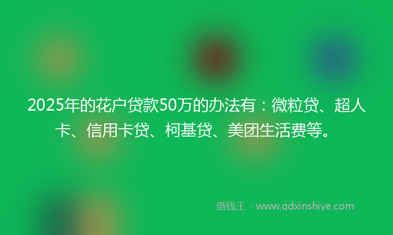 2025年的花户贷款50万的办法有：微粒贷、超人卡、信用卡贷、柯基贷、美团生活费等。