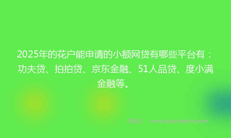 2025年的花户能申请的小额网贷有哪些平台有：功夫贷、拍拍贷、京东金融、51人品贷、度小满金融等。
