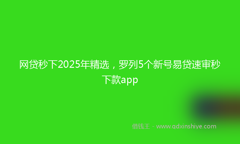 网贷秒下2025年精选，罗列5个新号易贷速审秒下款app