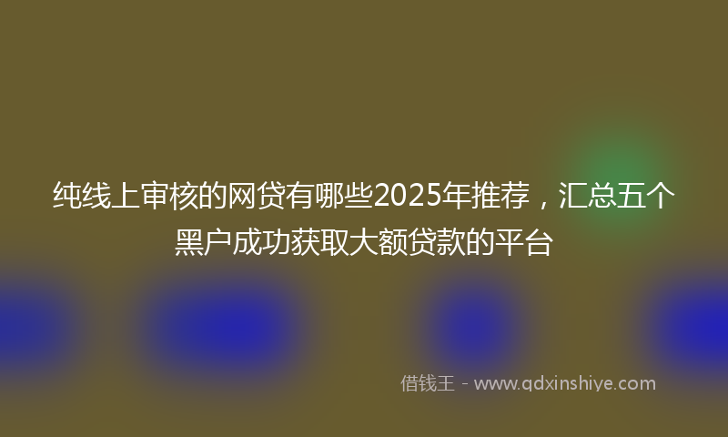 纯线上审核的网贷有哪些2025年推荐，汇总五个黑户成功获取大额贷款的平台