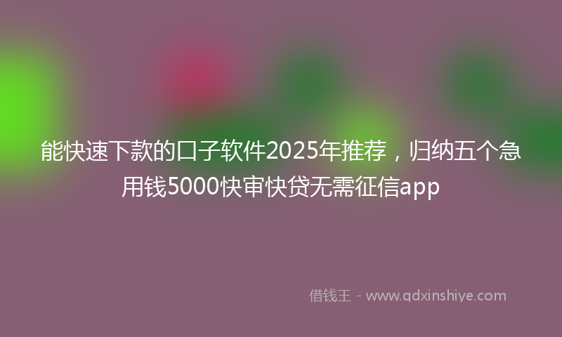 能快速下款的口子软件2025年推荐，归纳五个急用钱5000快审快贷无需征信app