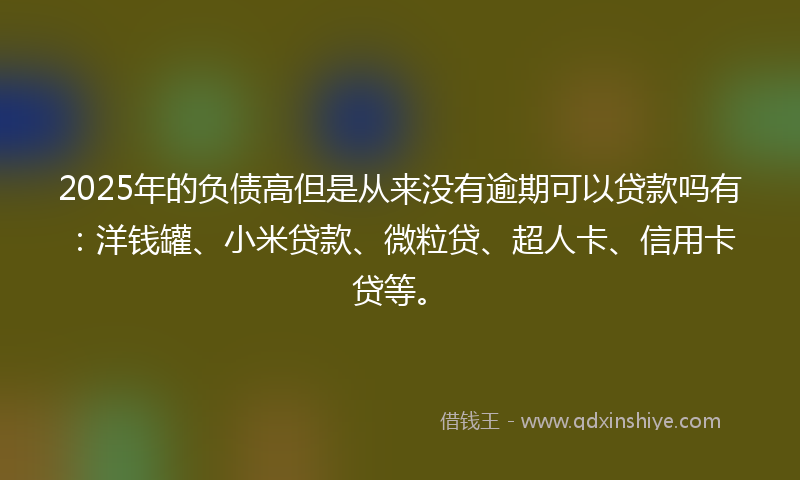 2025年的负债高但是从来没有逾期可以贷款吗有：洋钱罐、小米贷款、微粒贷、超人卡、信用卡贷等。