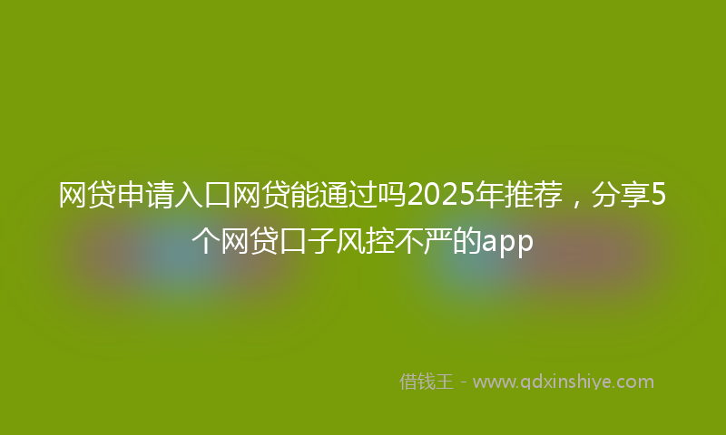 网贷申请入口网贷能通过吗2025年推荐，分享5个网贷口子风控不严的app