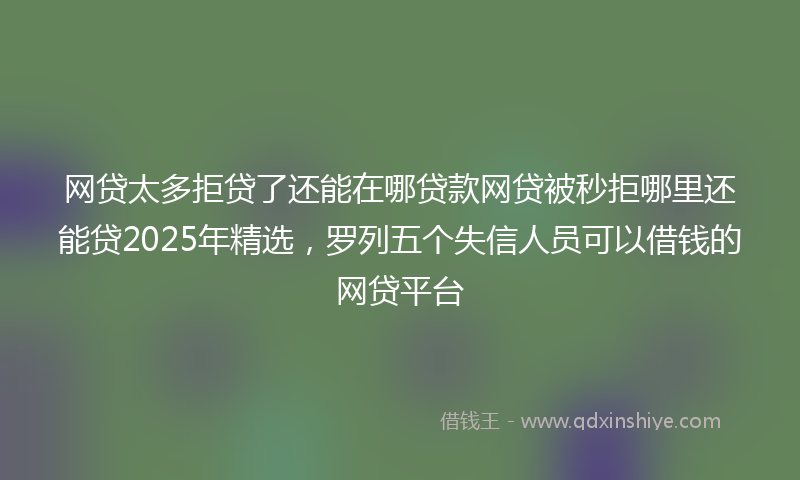 网贷太多拒贷了还能在哪贷款网贷被秒拒哪里还能贷2025年精选，罗列五个失信人员可以借钱的网贷平台