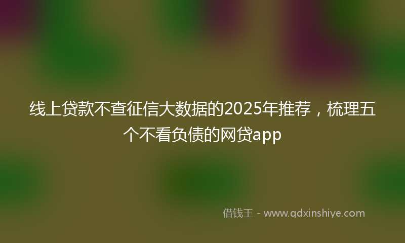 线上贷款不查征信大数据的2025年推荐，梳理五个不看负债的网贷app