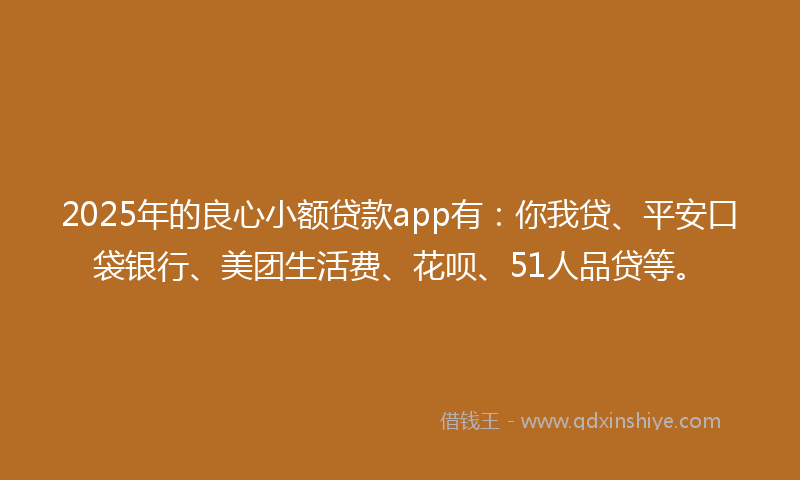 2025年的良心小额贷款app有：你我贷、平安口袋银行、美团生活费、花呗、51人品贷等。