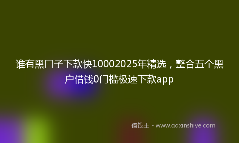 谁有黑口子下款快10002025年精选，整合五个黑户借钱0门槛极速下款app