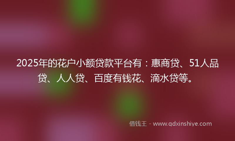2025年的花户小额贷款平台有：惠商贷、51人品贷、人人贷、百度有钱花、滴水贷等。