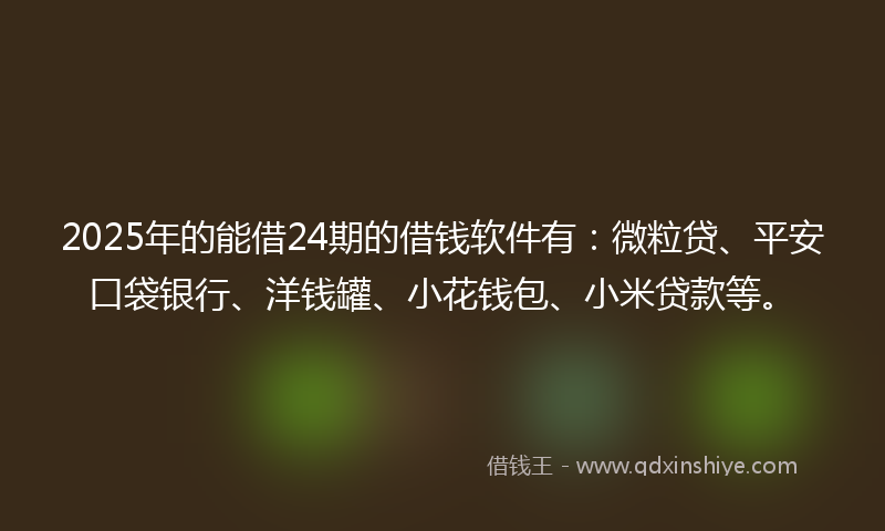 2025年的能借24期的借钱软件有：微粒贷、平安口袋银行、洋钱罐、小花钱包、小米贷款等。