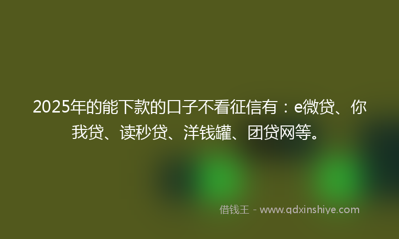 2025年的能下款的口子不看征信有：e微贷、你我贷、读秒贷、洋钱罐、团贷网等。