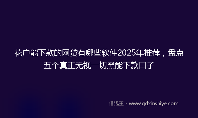 花户能下款的网贷有哪些软件2025年推荐，盘点五个真正无视一切黑能下款口子