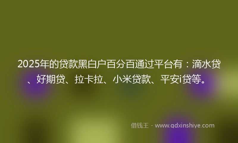 2025年的贷款黑白户百分百通过平台有：滴水贷、好期贷、拉卡拉、小米贷款、平安i贷等。