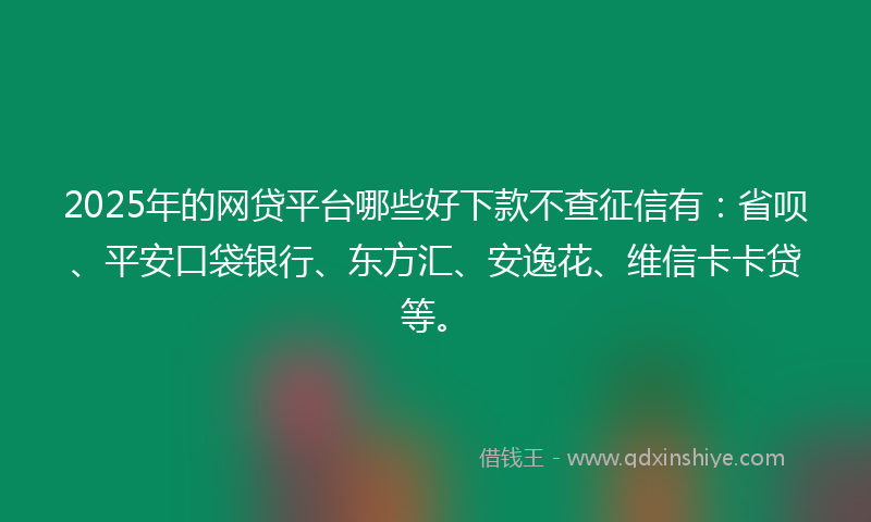 2025年的网贷平台哪些好下款不查征信有：省呗、平安口袋银行、东方汇、安逸花、维信卡卡贷等。