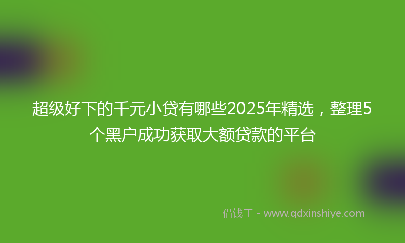 超级好下的千元小贷有哪些2025年精选，整理5个黑户成功获取大额贷款的平台