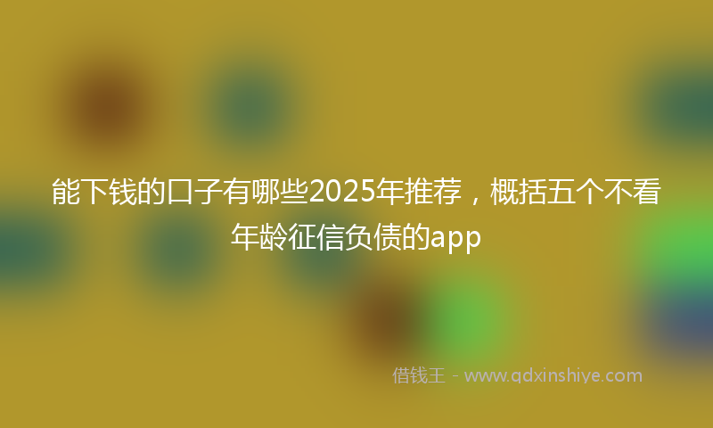 能下钱的口子有哪些2025年推荐，概括五个不看年龄征信负债的app