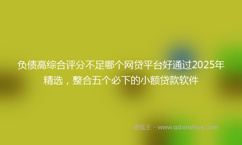 负债高综合评分不足哪个网贷平台好通过2025年精选，整合五个必下的小额贷款软件