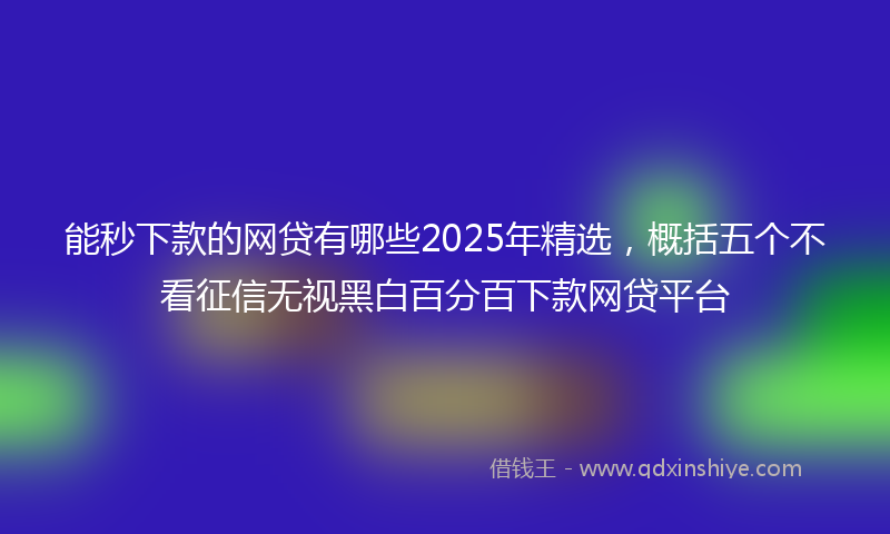 能秒下款的网贷有哪些2025年精选，概括五个不看征信无视黑白百分百下款网贷平台