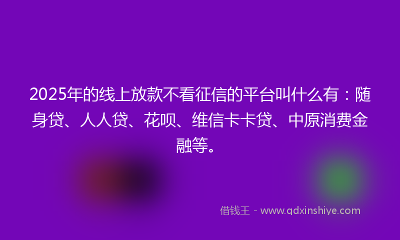 2025年的线上放款不看征信的平台叫什么有：随身贷、人人贷、花呗、维信卡卡贷、中原消费金融等。