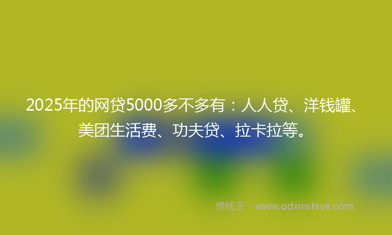 2025年的网贷5000多不多有：人人贷、洋钱罐、美团生活费、功夫贷、拉卡拉等。