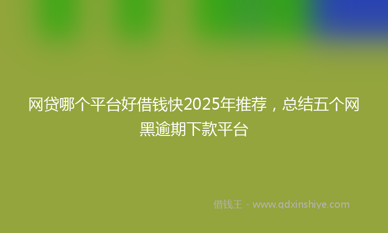 网贷哪个平台好借钱快2025年推荐，总结五个网黑逾期下款平台