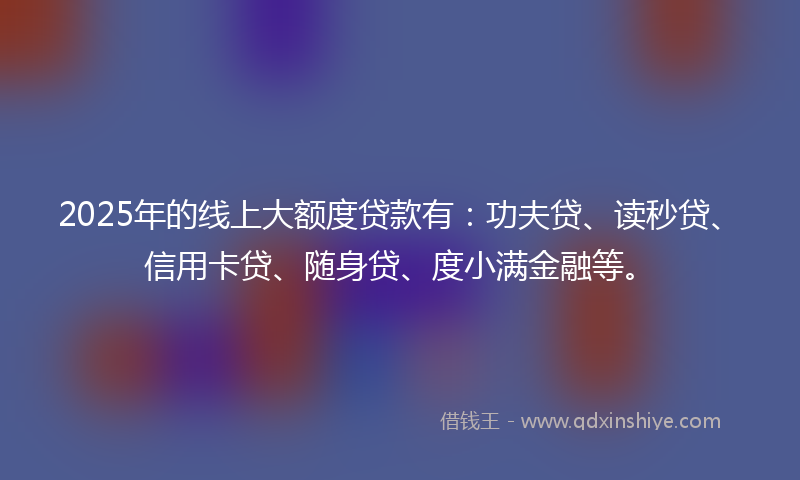 2025年的线上大额度贷款有：功夫贷、读秒贷、信用卡贷、随身贷、度小满金融等。