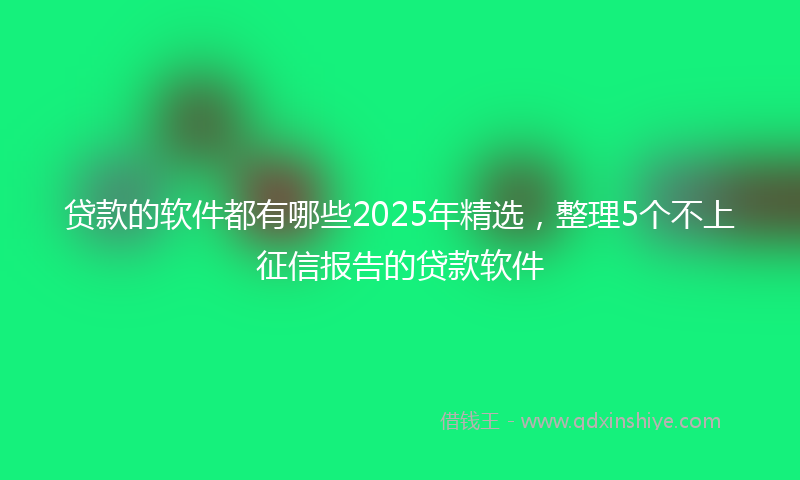 贷款的软件都有哪些2025年精选，整理5个不上征信报告的贷款软件